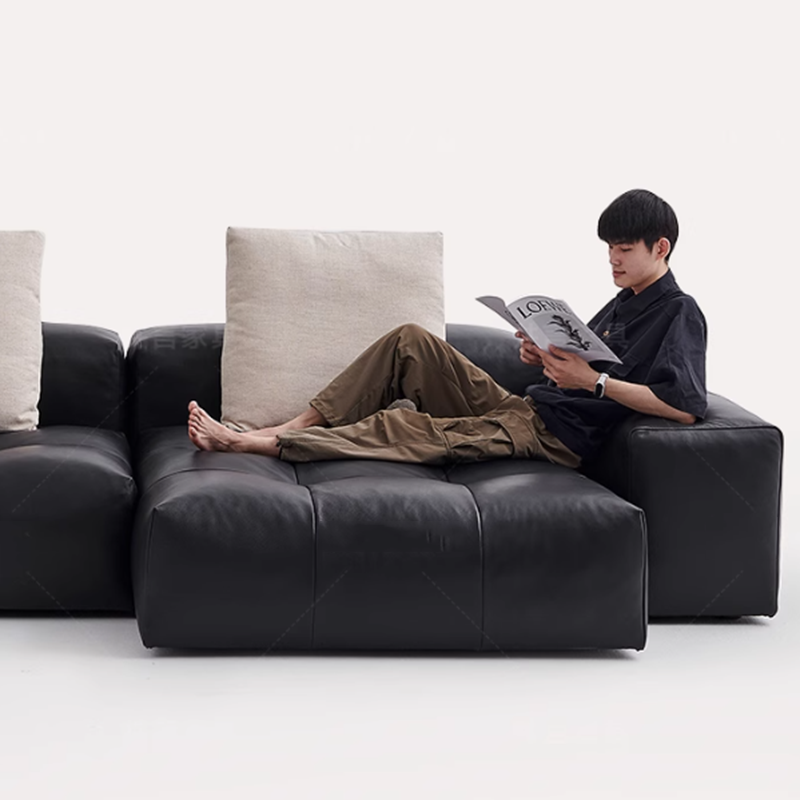 노르딕 가죽 압축 소파 미니멀리스트 럭셔리 릴렉스 암체 - Home Cinema Luxury 리뷰 및 가격